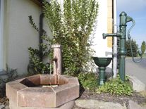 Wasserpumpe